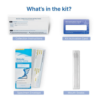 Peekaboo early gender DNA test kit contents: specimen envelope and mouth swabs