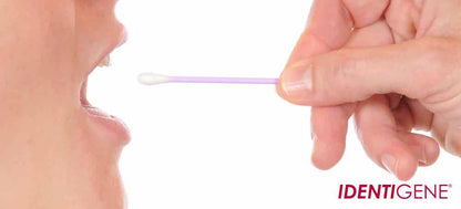 Cheek swab being used inside a mouth with a purple collection swab
