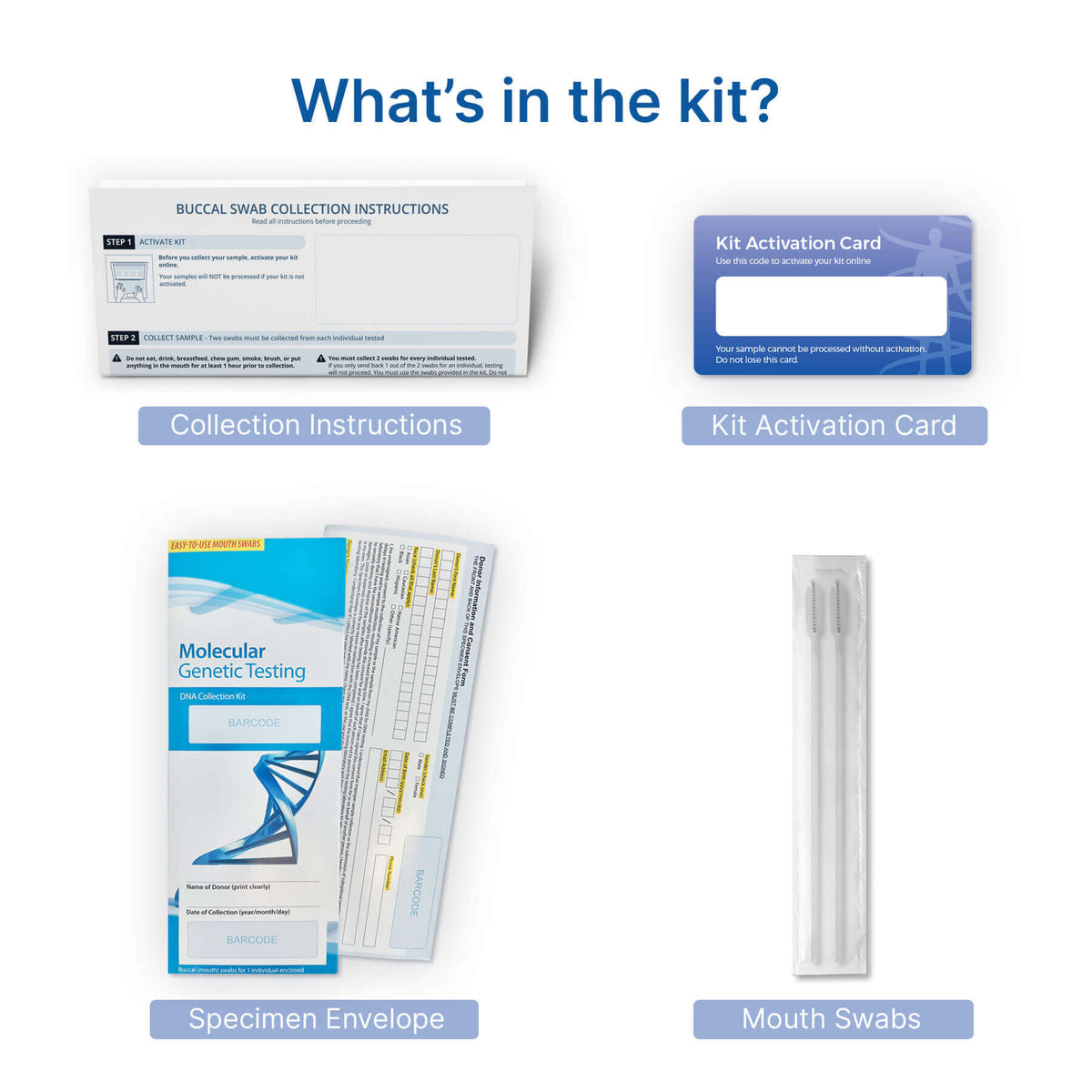 DNA paternity test kit contents: instructions, activation card, specimen envelope, swabs